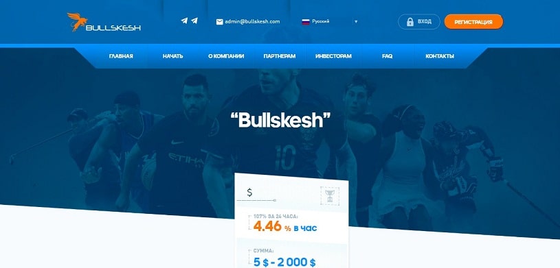 Обзор высокодоходного фаст-проекта Bullskesh.com, честные отзывы, прибыль 4,46% в час, бонус до 30% (НЕ ПЛАТИТ)
