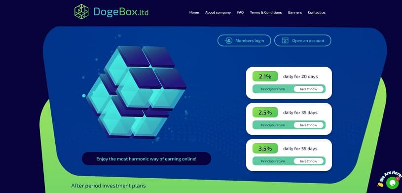 Обзор инвестиционного проекта Dogebox.ltd, честные отзывы, прибыльность от 2,1% в день, страховка 350$, рефбек 12% (НЕ ПЛАТИТ)