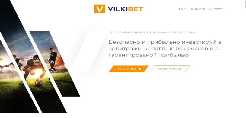 Обзор инвестиционного проекта Vilkibet.com, честные отзывы, прибыльность до 2% в день, рефбек 10% от вклада